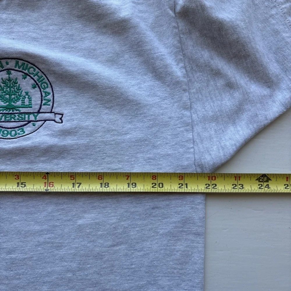 Champion Men L Gray Embroidered T Shirt Vintage 90s W Michigan University Crest - Picture 5 of 7